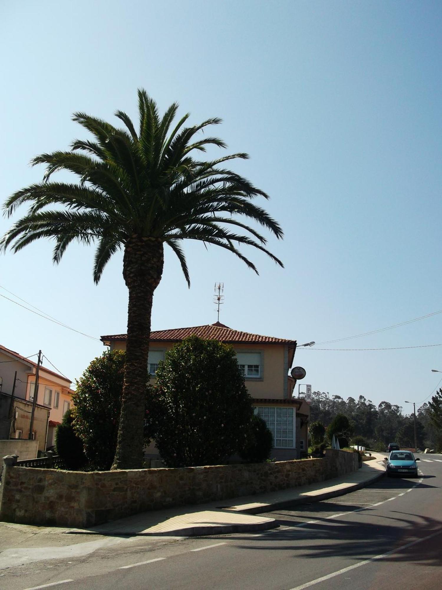 Hostal Pereirina Cee Dış mekan fotoğraf