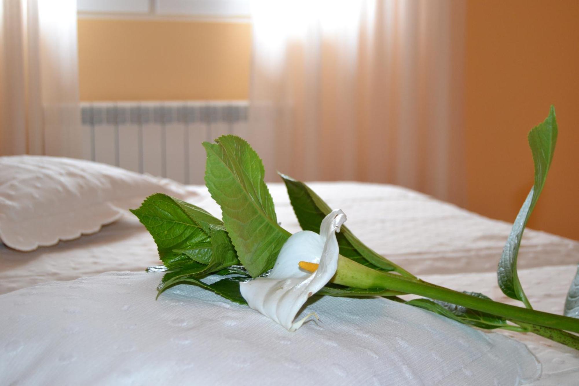 Hostal Pereirina Cee Oda fotoğraf
